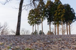 【ゴルフ】冬のラウンド中の寒さ対策