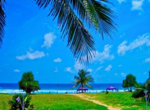 【ゴルフ】なぜタイは「ゴルフ天国」なのか