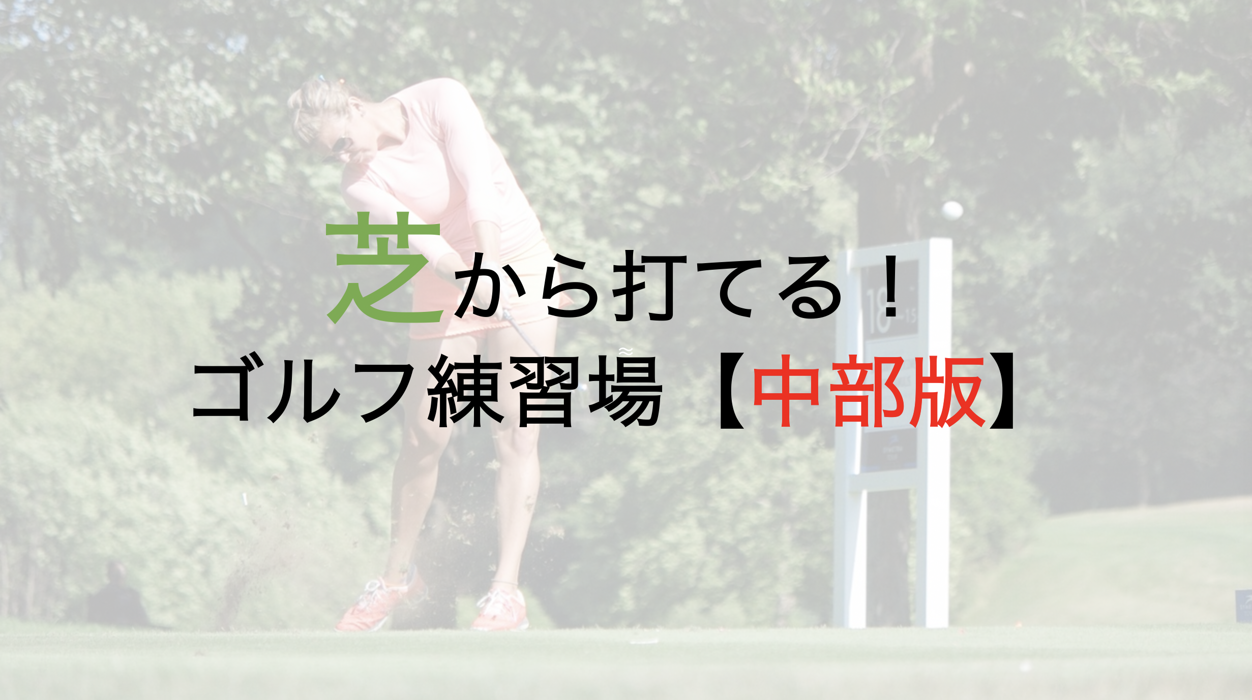 マットではなく芝から打てるゴルフ練習場【中部版】